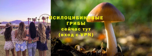 PSILOCYBIN Бугульма